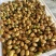 核果仁果类黄皮果大量供应冰冻果精品鸡心黄皮奶茶果