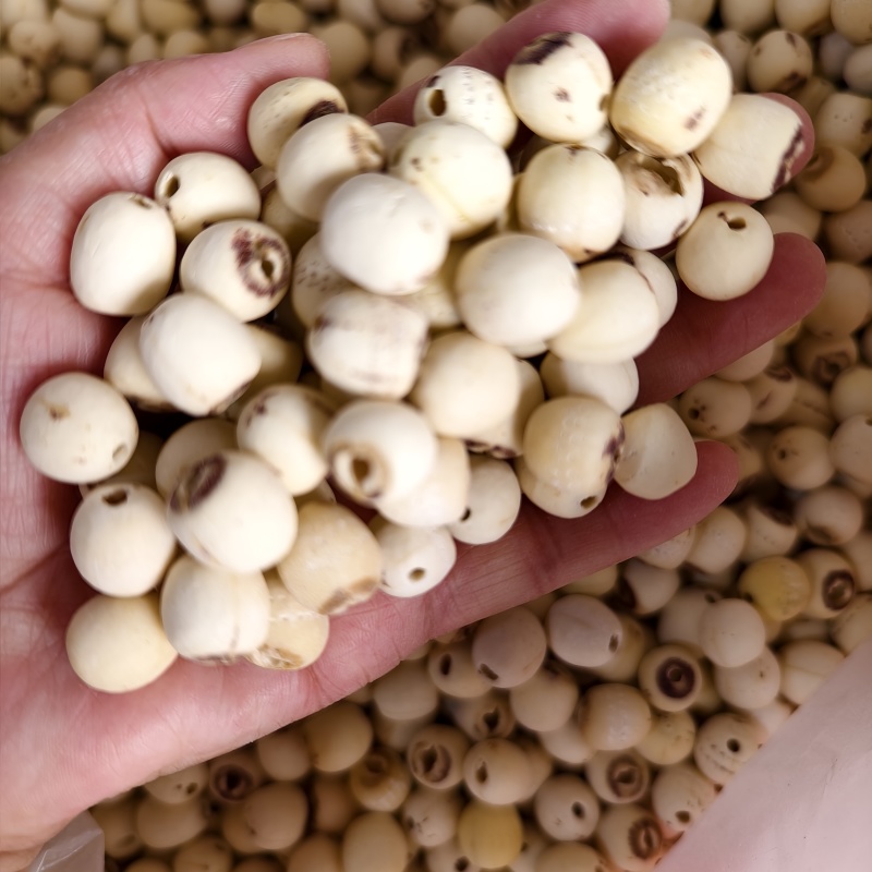 湖南磨白莲颗粒饱满圆润一件50斤起批量大从优