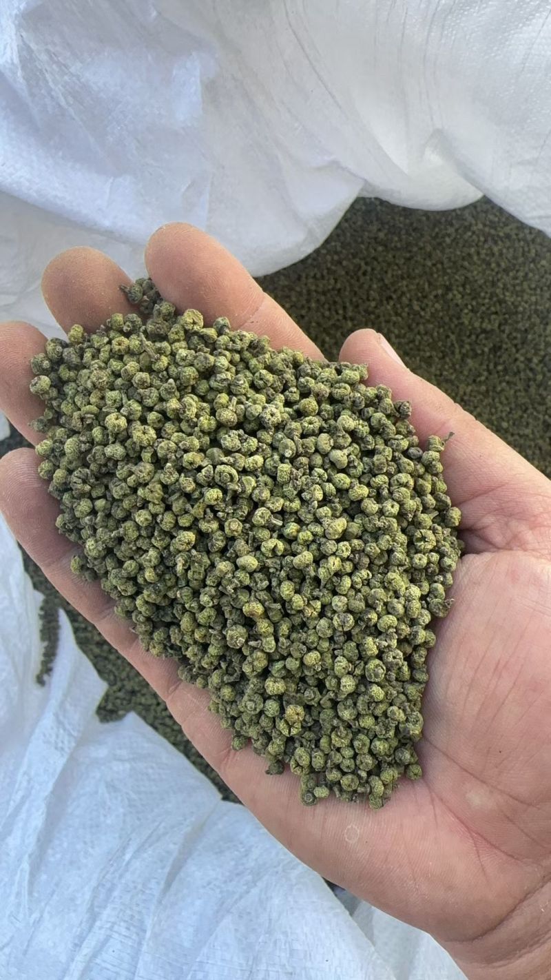 吴茱萸中花吴茱萸味道浓中药材批发吴茱萸产地直销