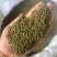 吴茱萸中花吴茱萸味道浓中药材批发吴茱萸产地直销