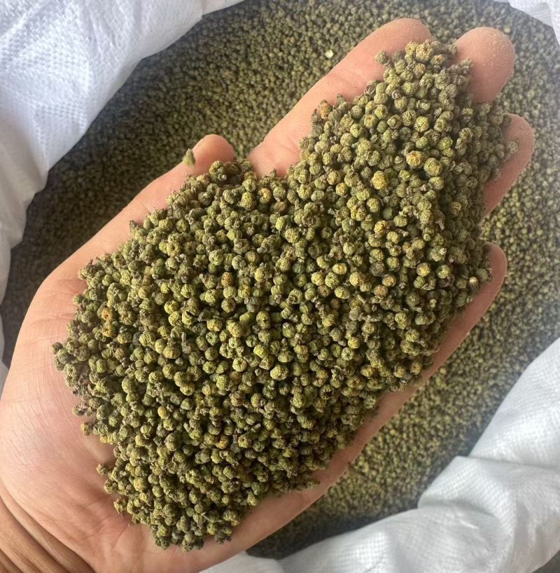 吴茱萸中花吴茱萸味道浓中药材批发吴茱萸产地直销