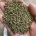 吴茱萸中花吴茱萸味道浓中药材批发吴茱萸产地直销