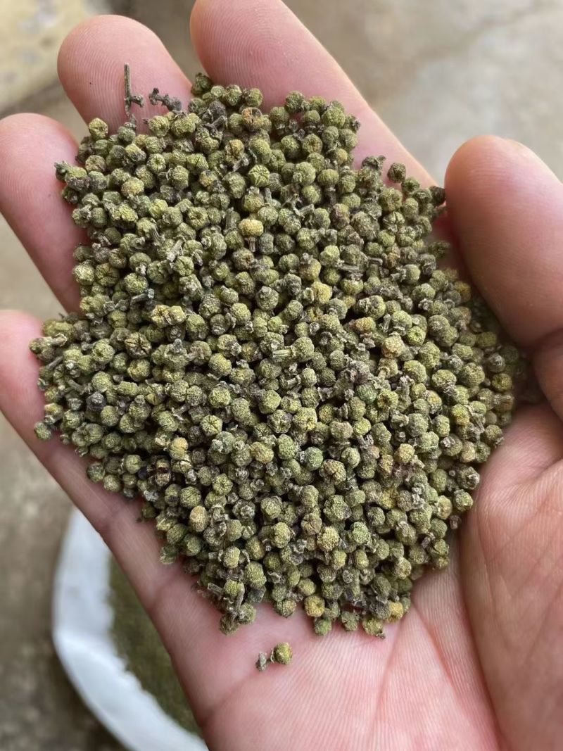 吴茱萸中花吴茱萸味道浓中药材批发吴茱萸产地直销