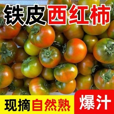 铁皮柿子支持电商各平台一件代发、代收