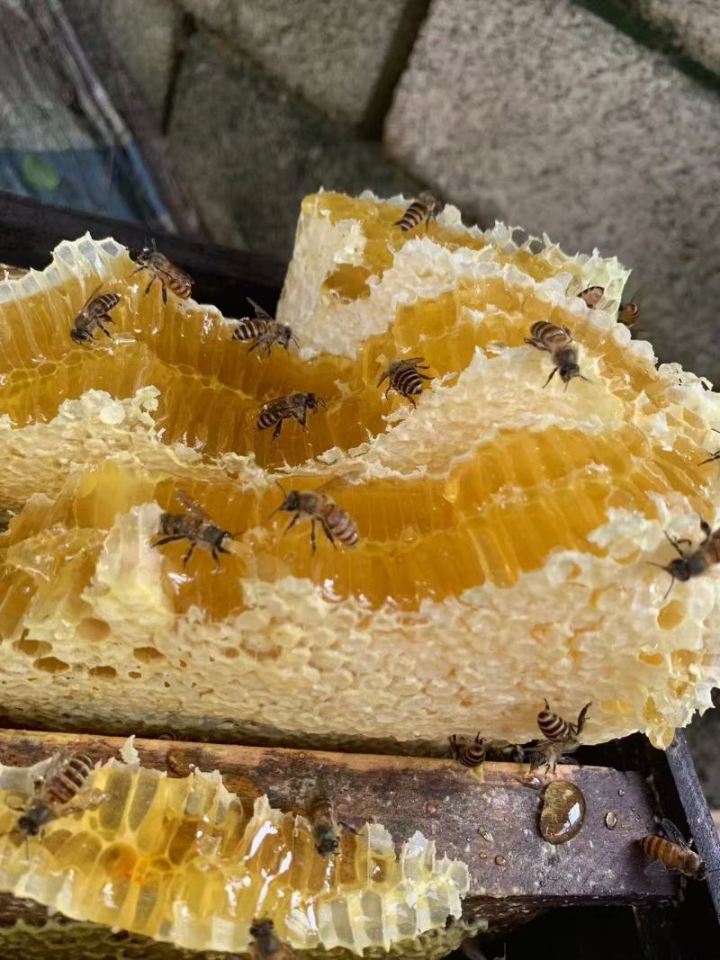 广西精品蜂蜜，基地直发，品质保证，量大从优，欢迎联系！