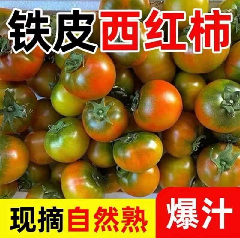 铁皮柿子支持电商各平台一件代发、代收