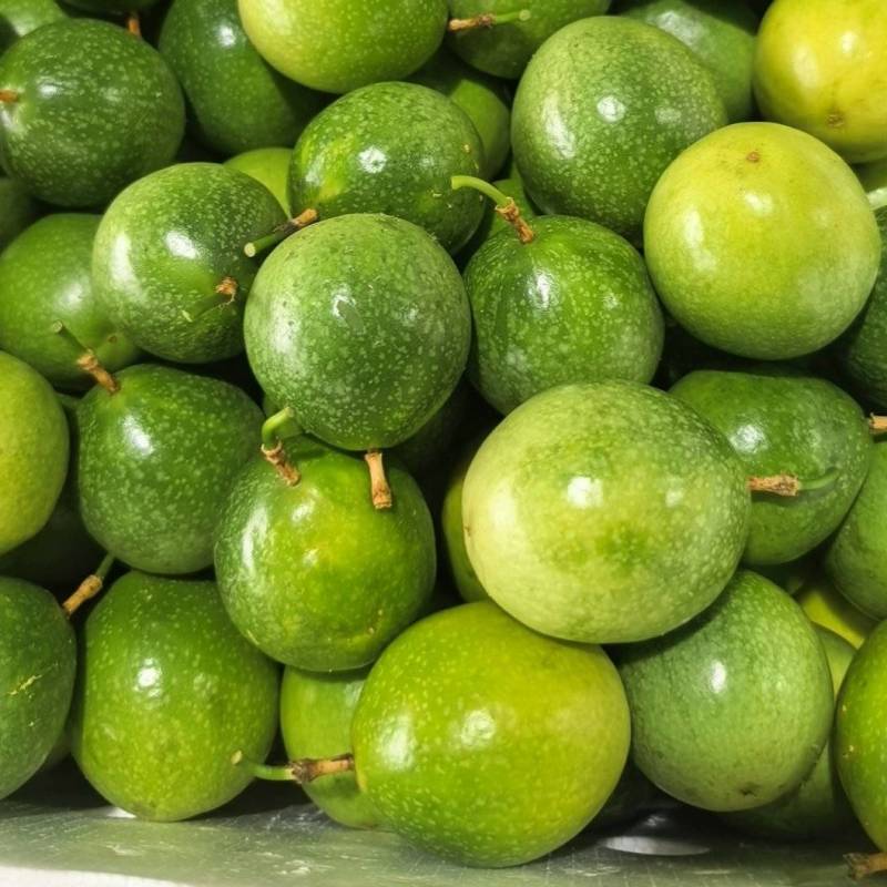 西双版纳钦蜜百香果。