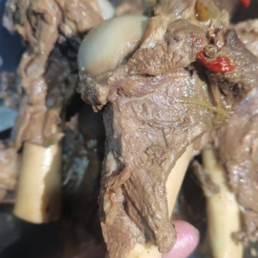 内蒙满肉羊棒骨