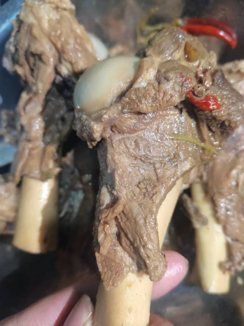 内蒙满肉羊棒骨