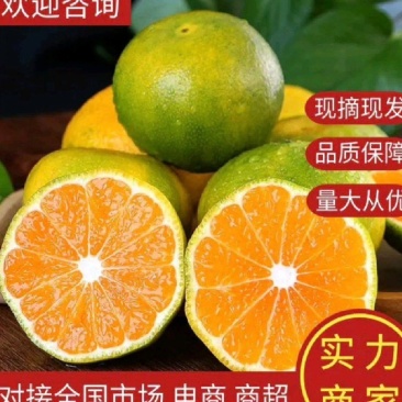湖北早熟蜜橘皮薄多汁一手货源诚信代办欢迎联系我