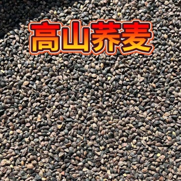 荞麦对接批发代收代卖自家种植,对接商场超市