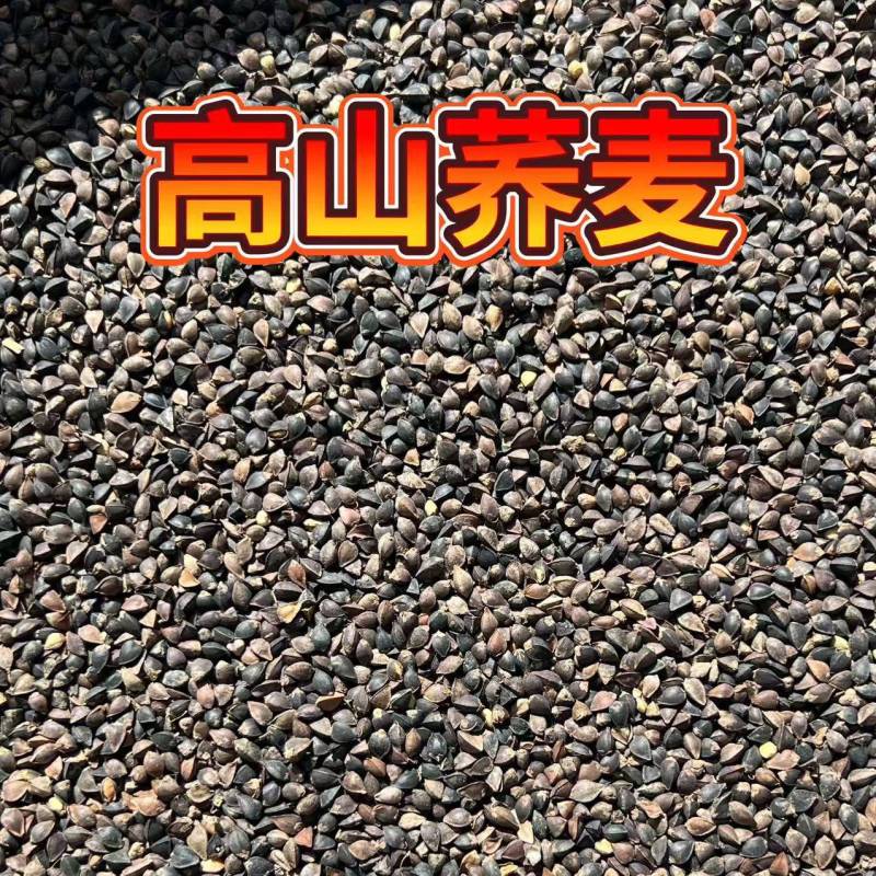 荞麦对接批发代收代卖自家种植，对接商场超市