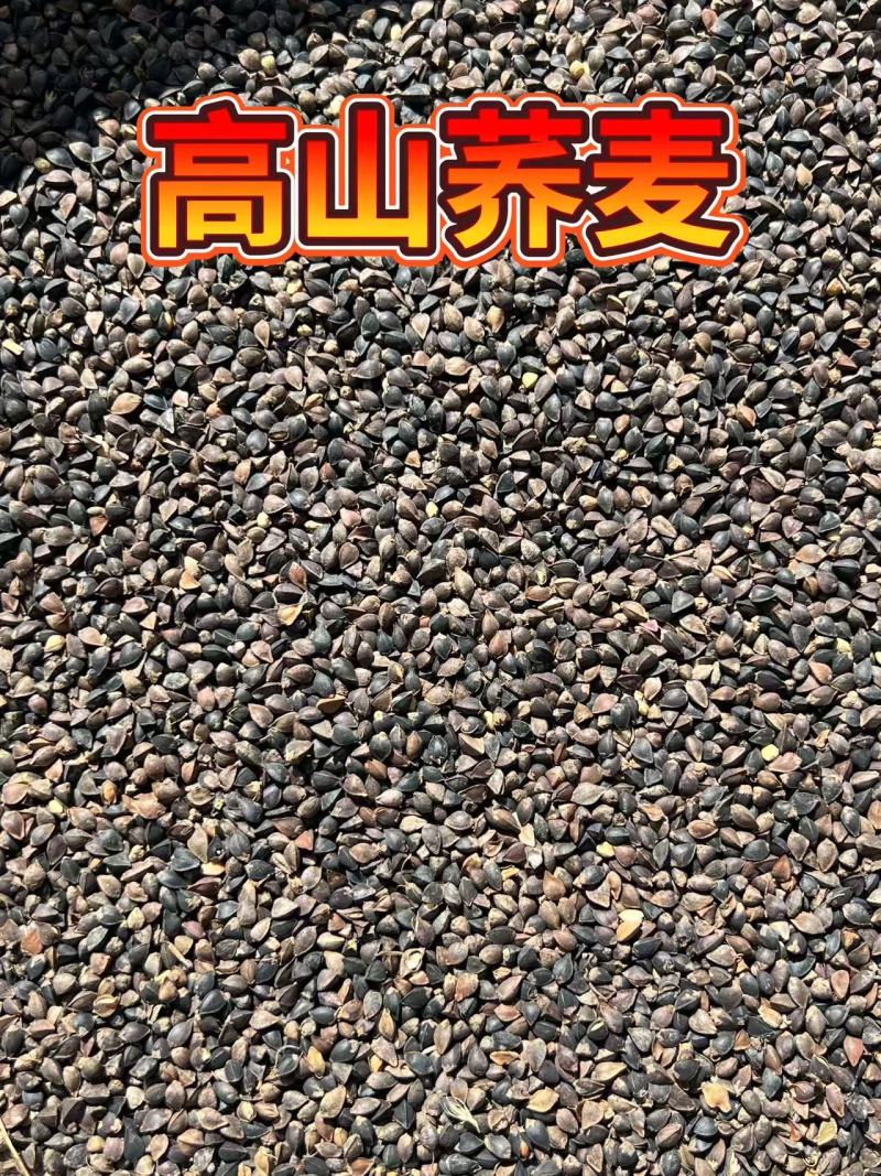 荞麦对接批发代收代卖自家种植，对接商场超市