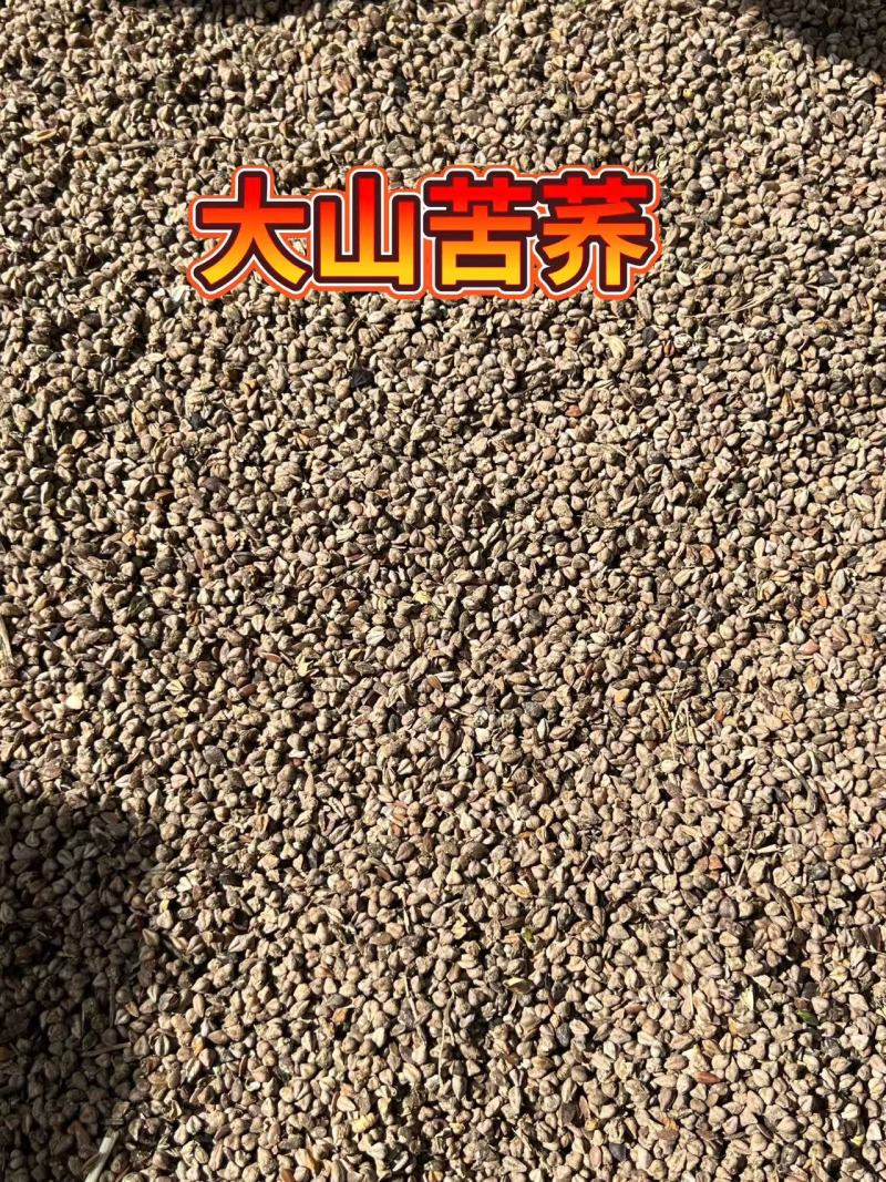 荞麦对接批发代收代卖自家种植，对接商场超市
