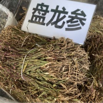 盘龙参中药材批发零售货真价实冷背中药材大全