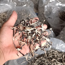 精品电商木耳丝足干木耳丝优质木耳丝厂家发货木耳丝木耳丝