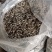 精品电商木耳丝足干木耳丝优质木耳丝厂家发货木耳丝木耳丝