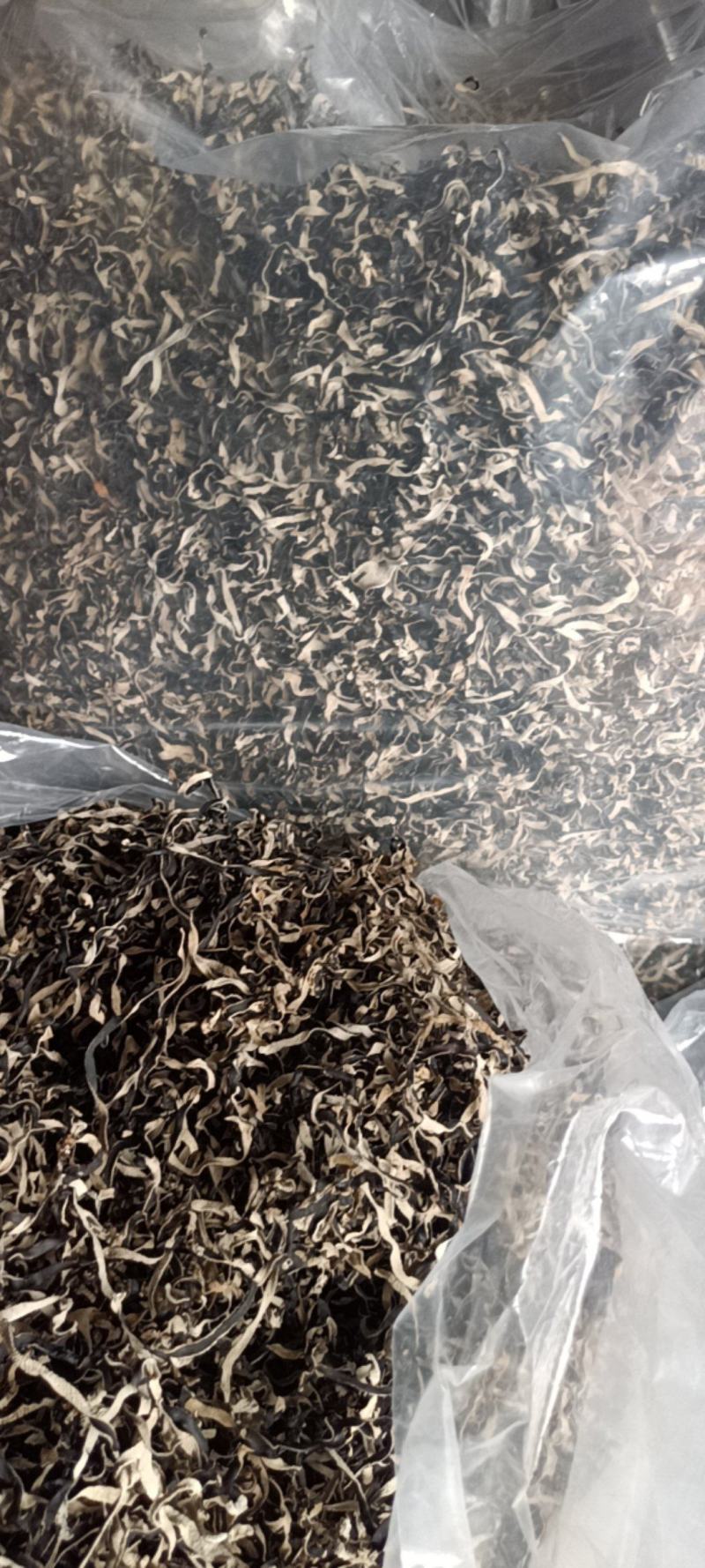 精品电商木耳丝足干木耳丝优质木耳丝厂家发货木耳丝木耳丝