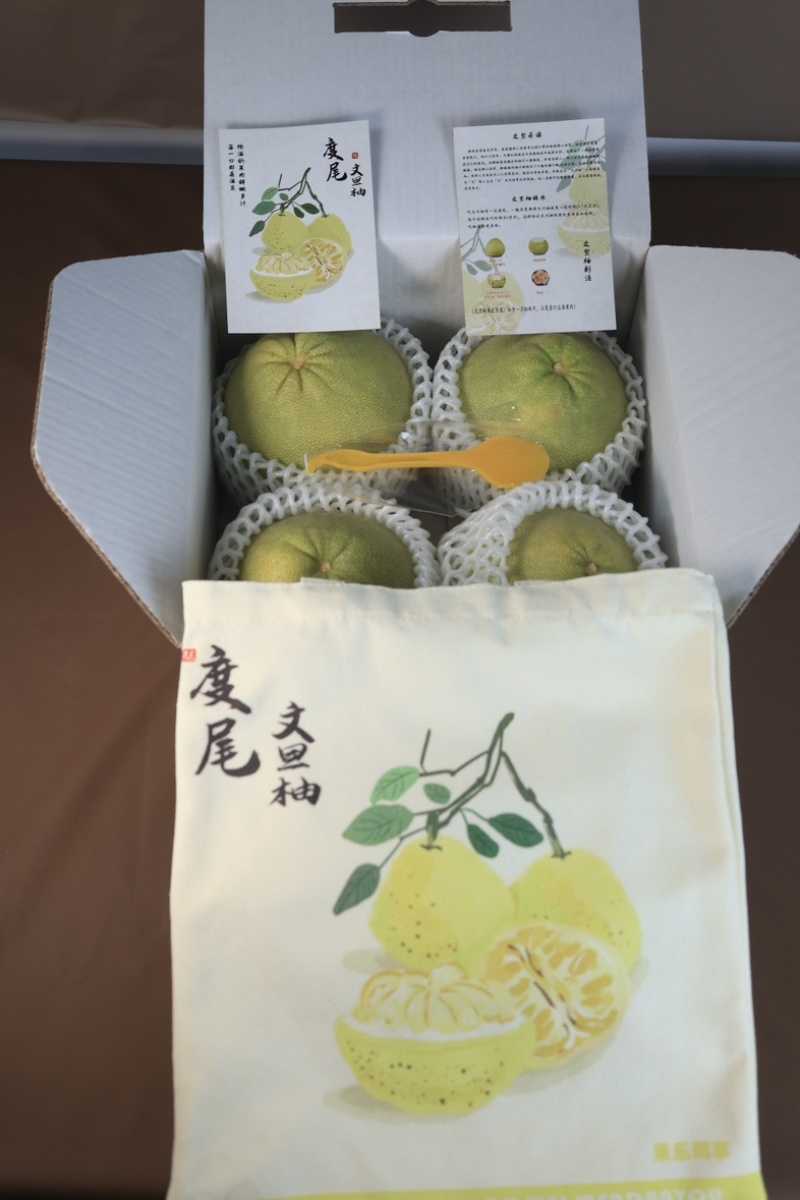 莆田仙游度尾文旦柚子礼盒批发公司节日送礼