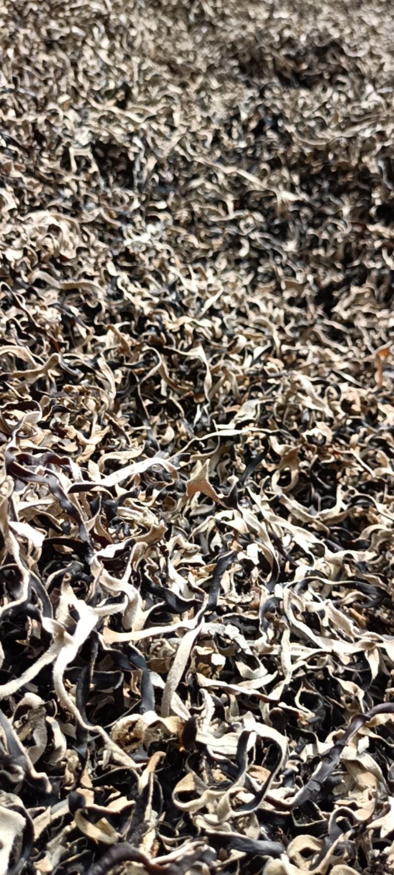 干木耳丝加工厂电商木耳丝优质木耳丝一级品木耳丝全国发货共
