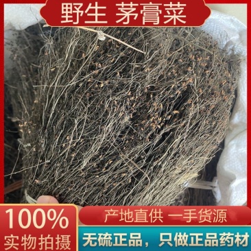 茅膏菜中药材批发零售冷背中药材大全货真价实