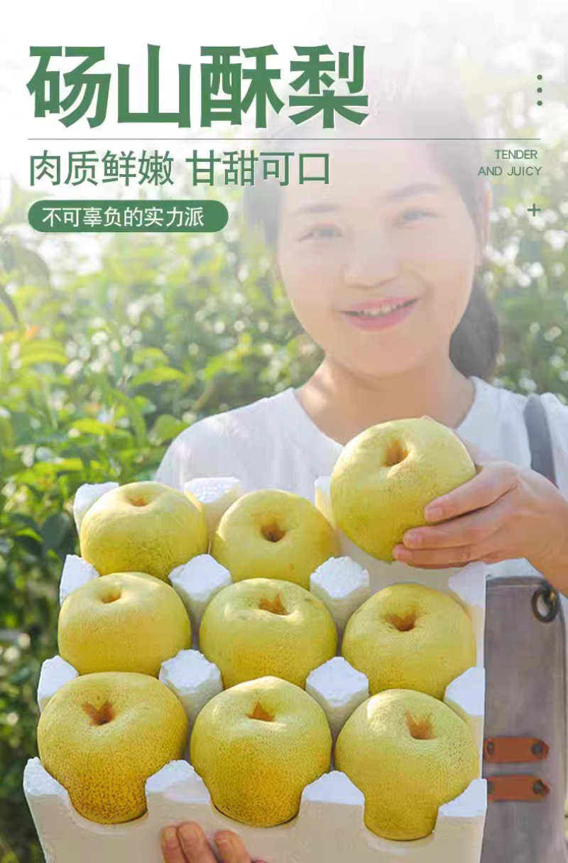 砀山酥梨，砀山梨电商货丨市场货，皇冠，秋月梨，量大从优