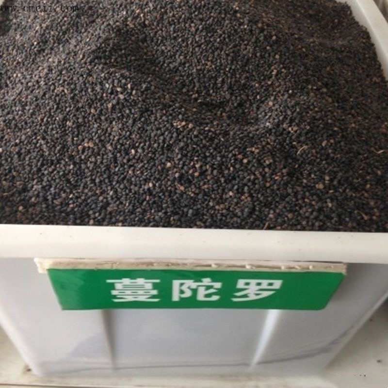 曼陀罗壳中药材曼陀罗籽冷背中药材大全批发零售