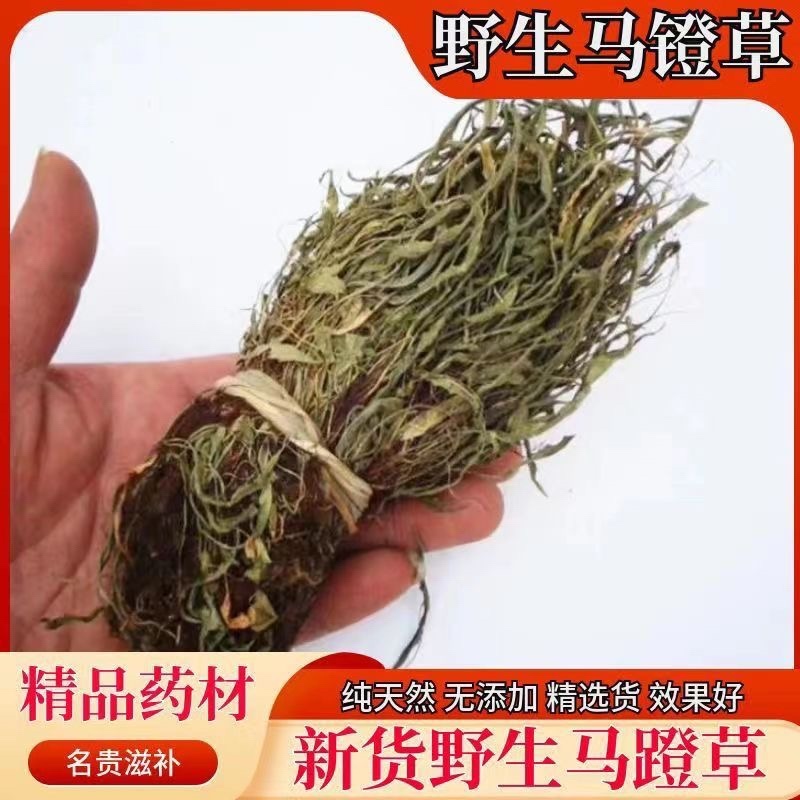 马蹬草还阳草中药材冷背中药材大全批发零售