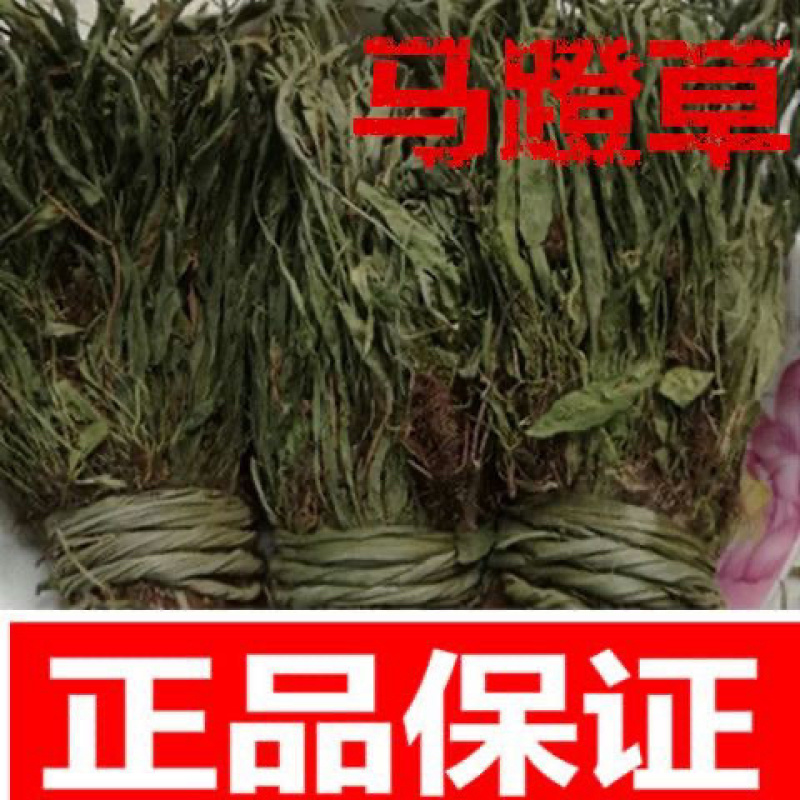 马蹬草还阳草中药材冷背中药材大全批发零售