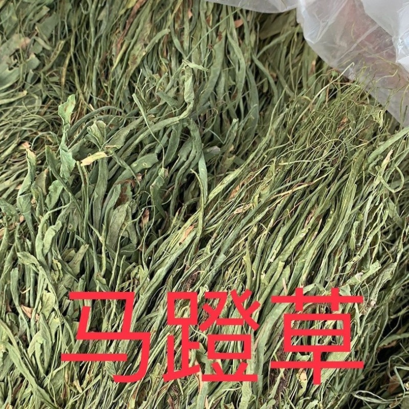 马蹬草还阳草中药材冷背中药材大全批发零售
