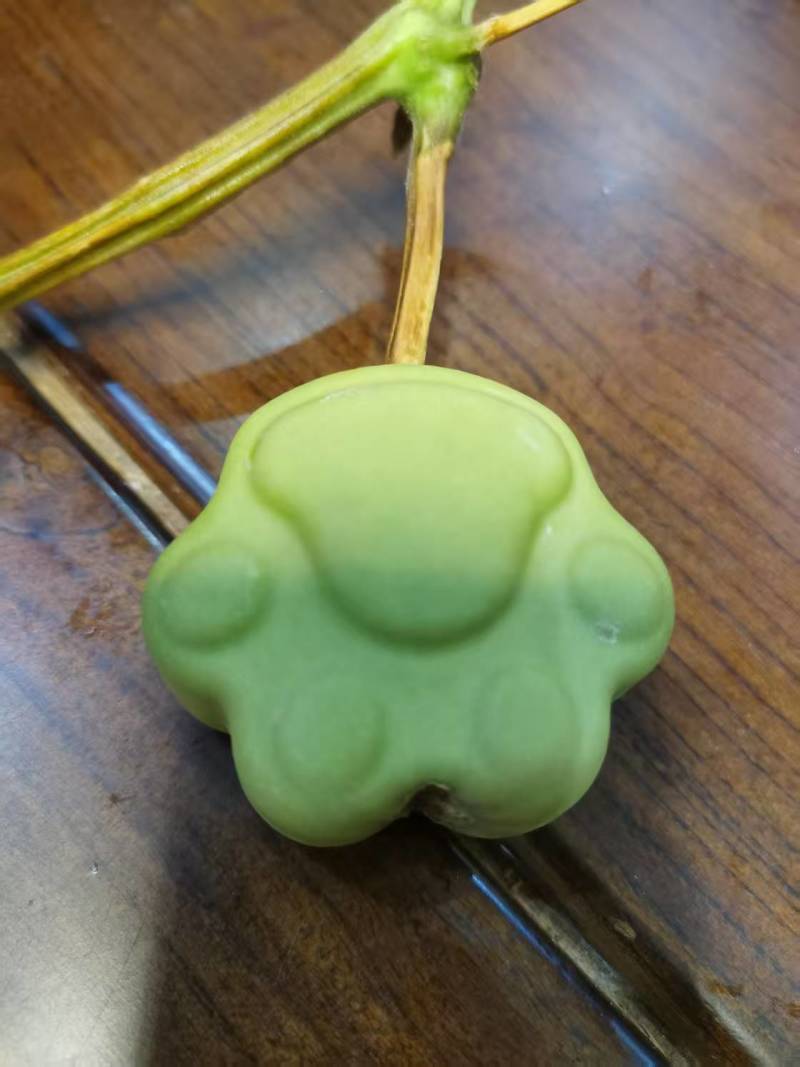 文玩葫芦！葫芦在手，福禄我有！各式精品葫芦！价格详谈！