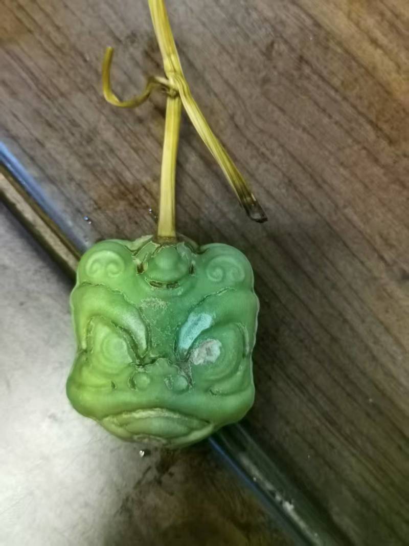 文玩葫芦！葫芦在手，福禄我有！各式精品葫芦！价格详谈！