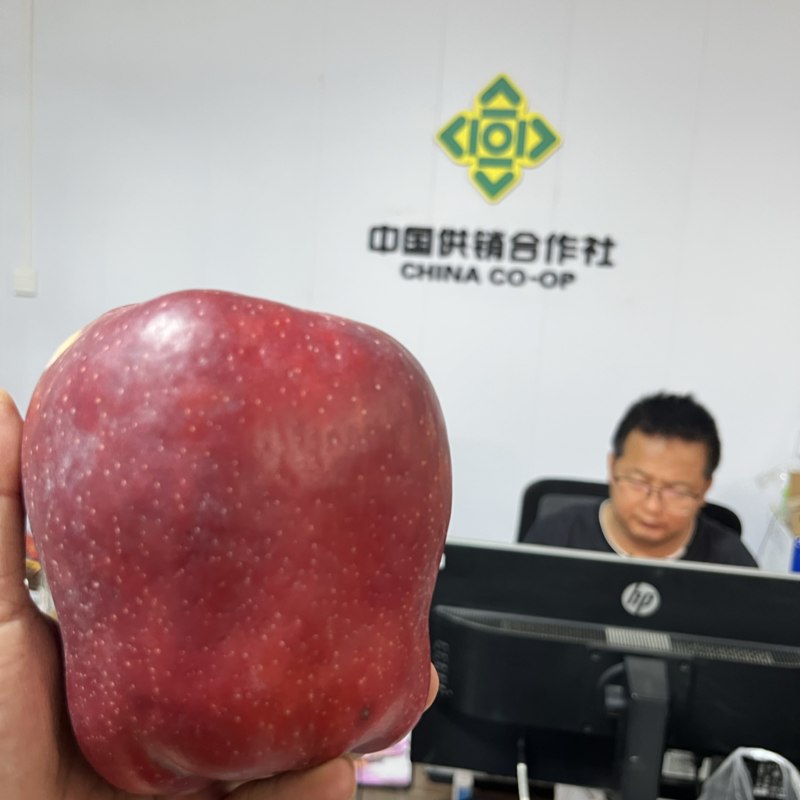 甘肃天水花牛苹果一件代发