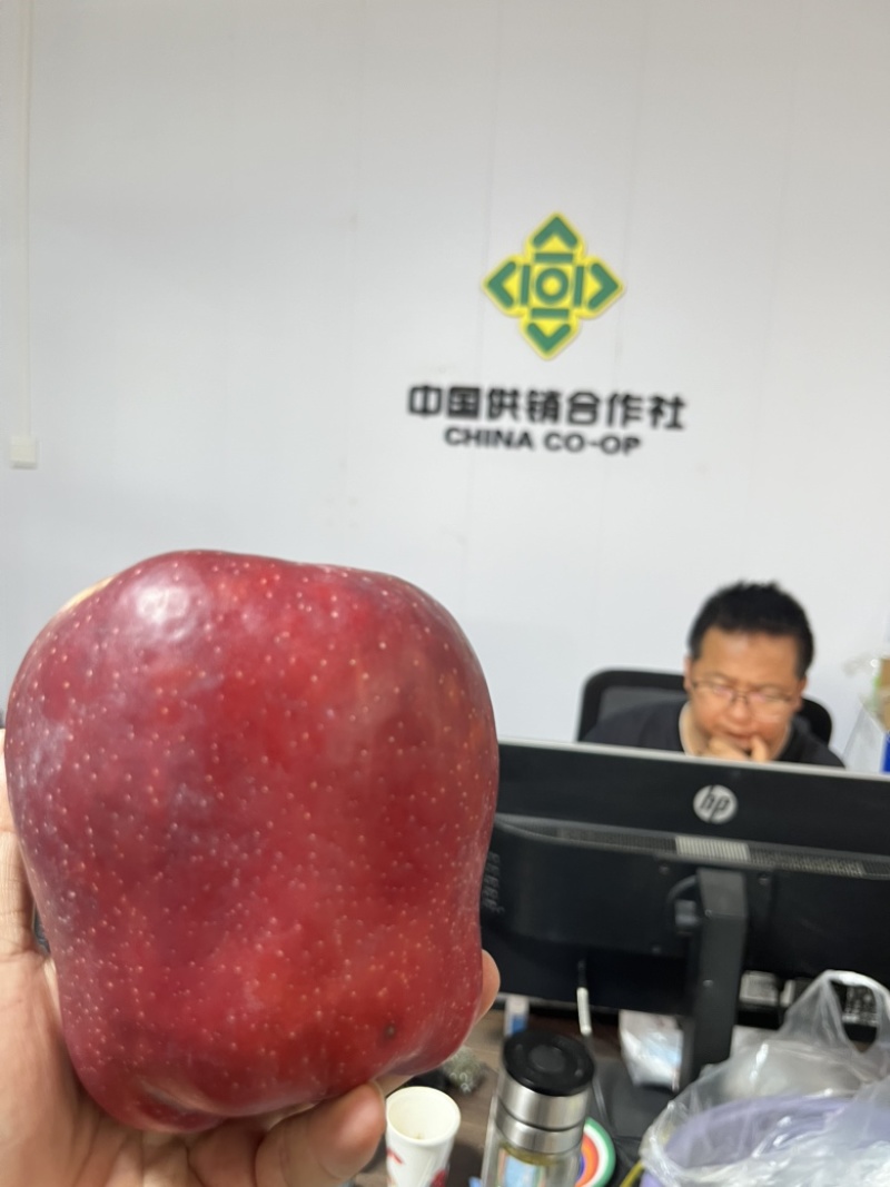 甘肃天水花牛苹果一件代发