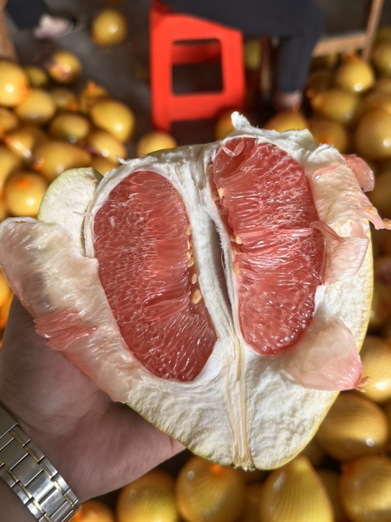 平和琯溪蜜柚坂仔核心产区产品，大量现货