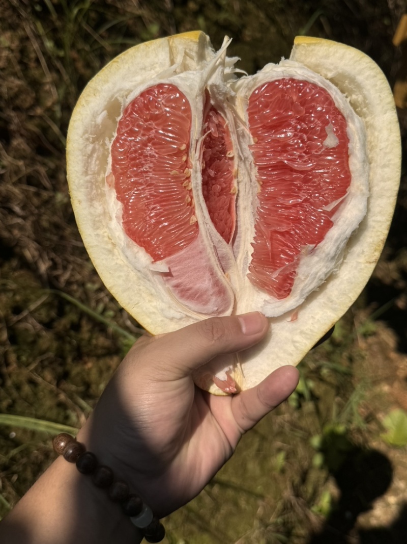 平和琯溪蜜柚坂仔核心产区产品，大量现货