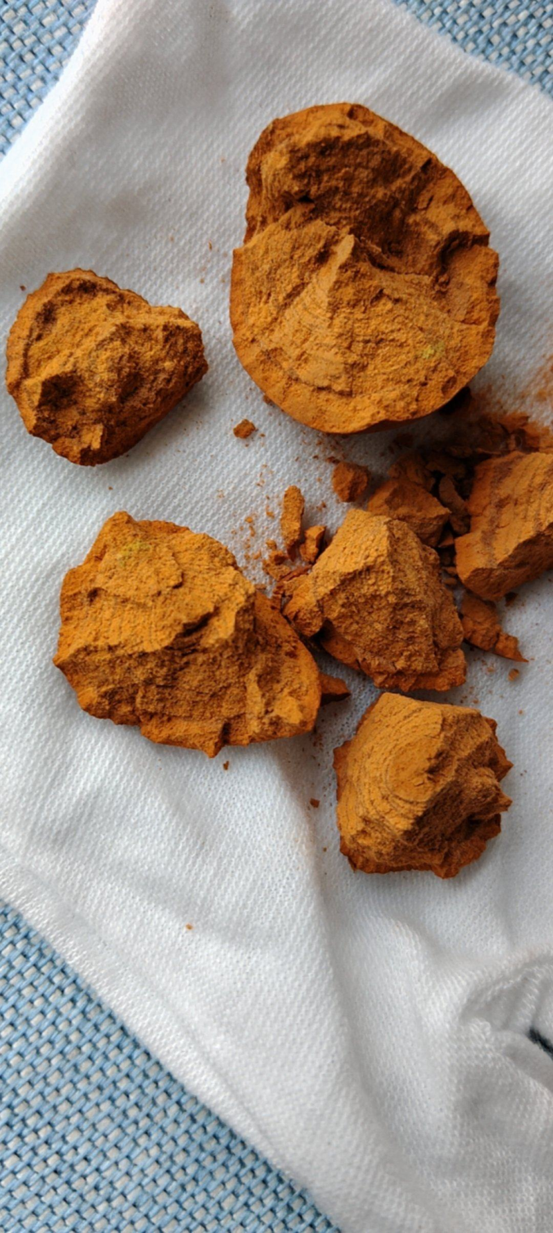 天然牛黄供应全年走货欢迎来电采购