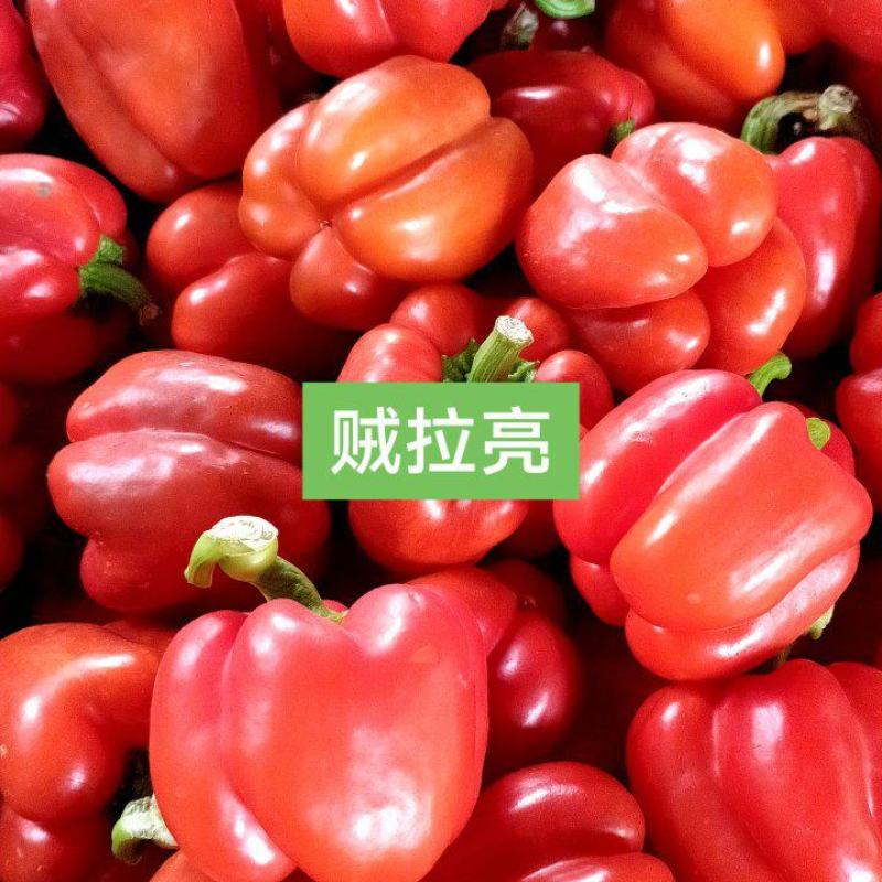 红彩椒