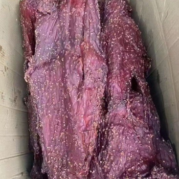 麻辣大块肉风干大块肉五香麻辣大块肉展会地摊厂家批发