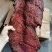 麻辣大块肉风干大块肉五香麻辣大块肉展会地摊厂家批发