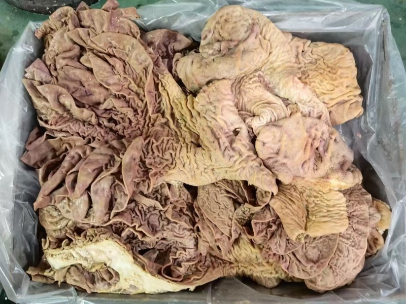 牛散带，生的