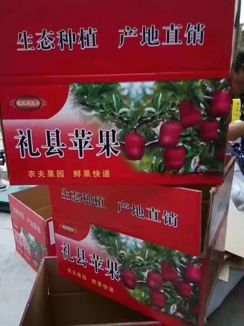 甘肃天水，礼县花牛，红富士