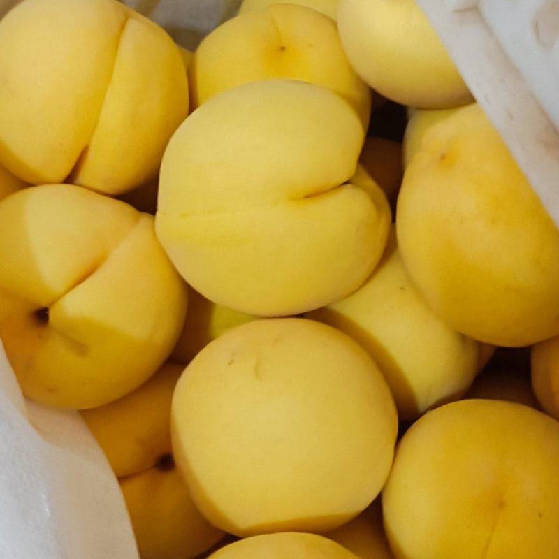 西瑞黄桃