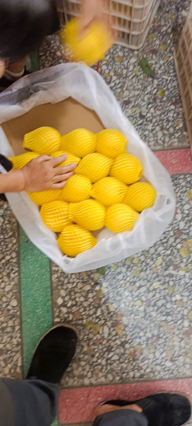 西瑞黄桃