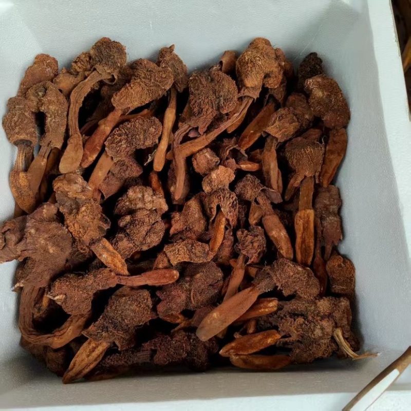 金锁阳批发锁阳整根切片泡茶可打粉泡酒料锁阳个批发代发无硫
