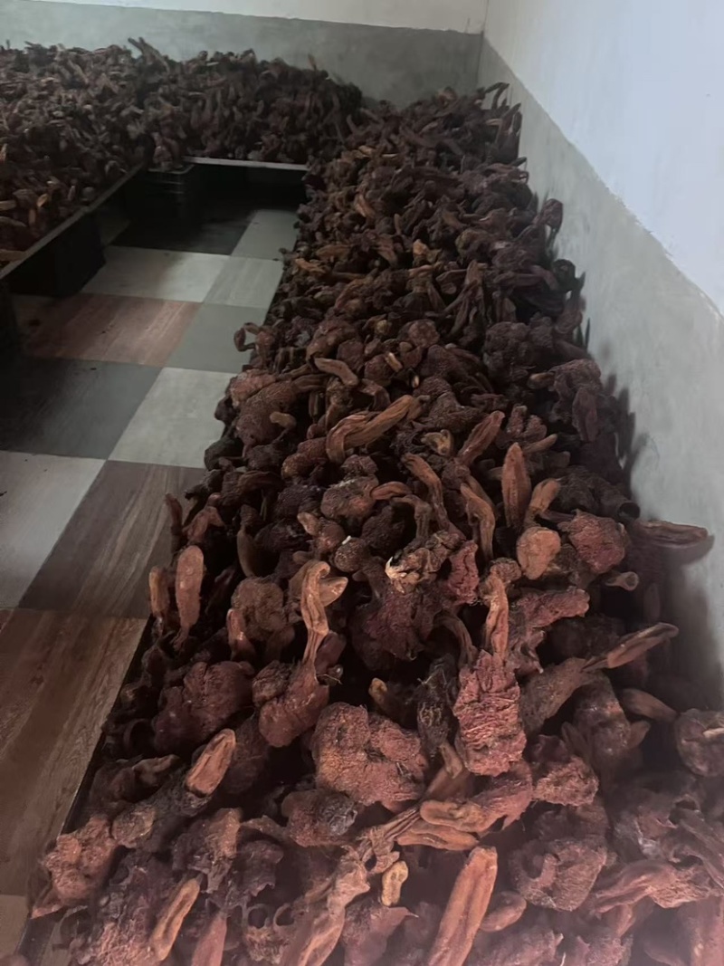 金锁阳批发锁阳整根切片泡茶可打粉泡酒料锁阳个批发代发无硫