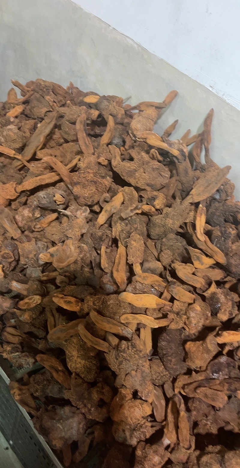 金锁阳批发锁阳整根切片泡茶可打粉泡酒料锁阳个批发代发无硫