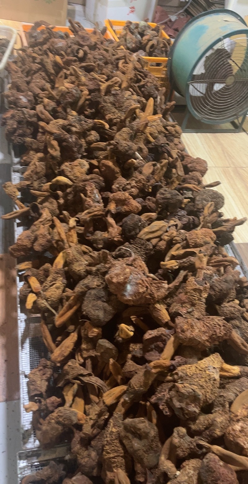 金锁阳批发锁阳整根切片泡茶可打粉泡酒料锁阳个批发代发无硫