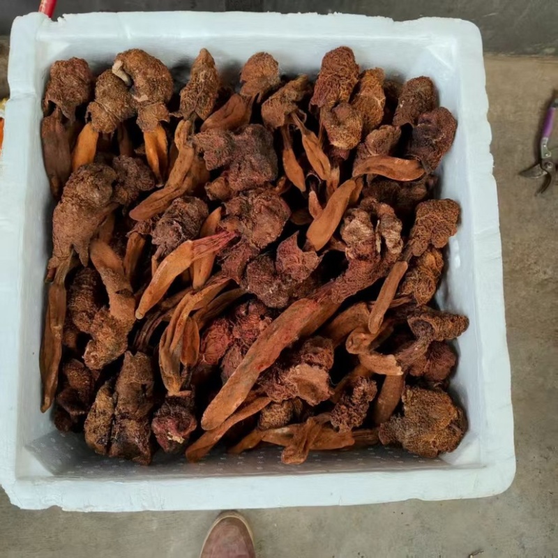 金锁阳批发锁阳整根切片泡茶可打粉泡酒料锁阳个批发代发无硫