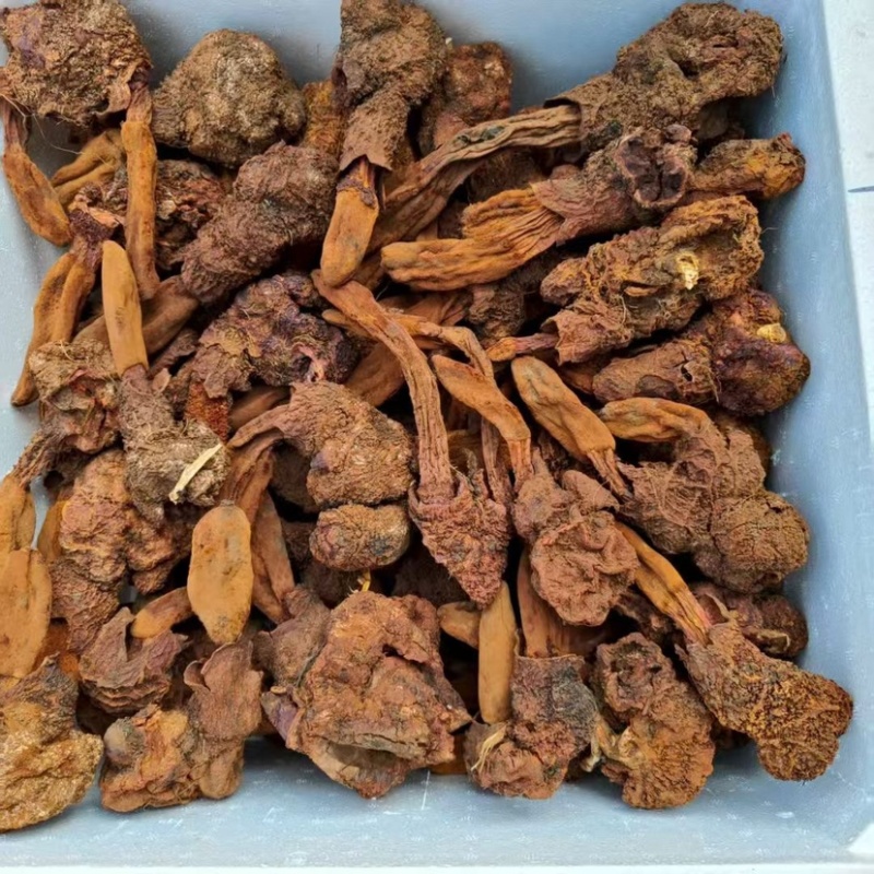金锁阳批发锁阳整根切片泡茶可打粉泡酒料锁阳个批发代发无硫